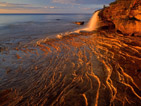 Summer wallpapers69